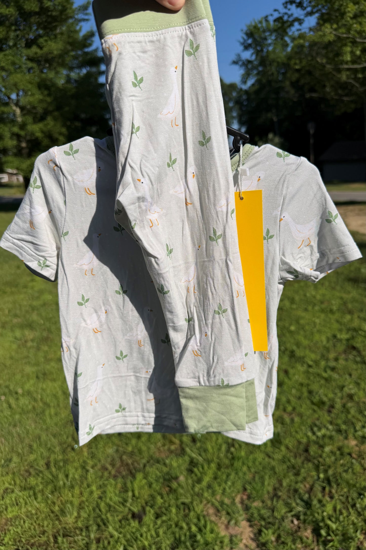 Short Sleeve and Pants Set